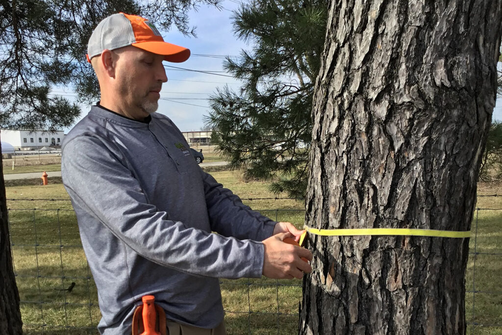 Why Hire Northern Kentucky Arborists | Ahlum & Arbor Tree Preservation