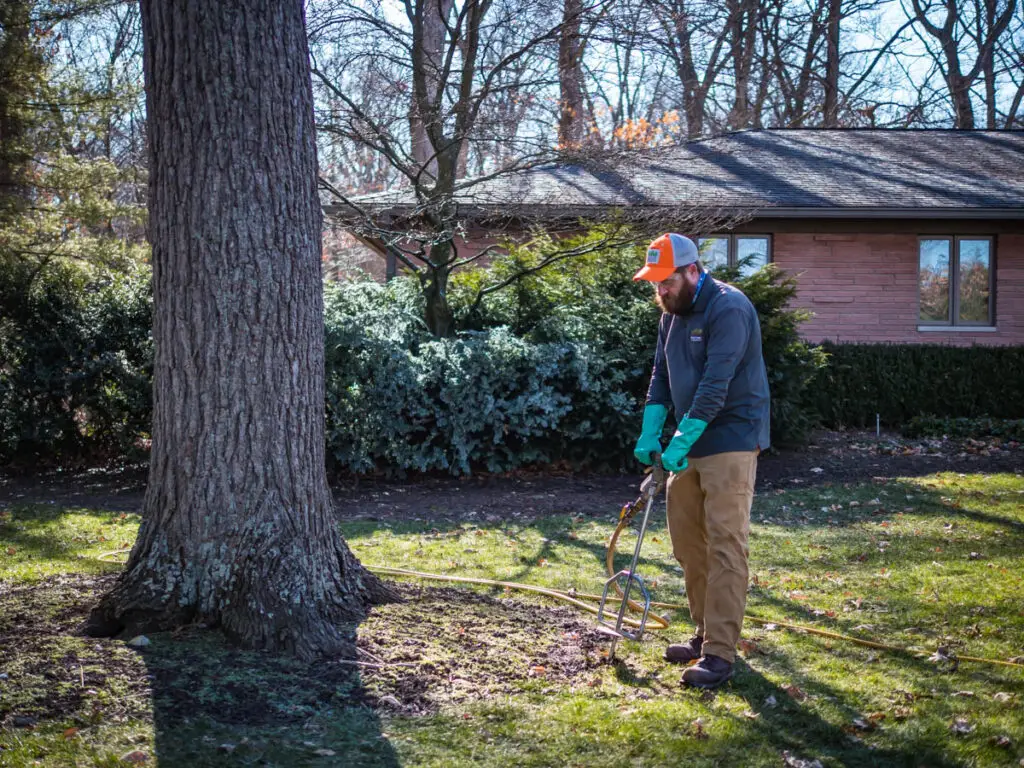 Recommended Spring Aeration Treatments | Ahlum & Arbor Tree Preservation