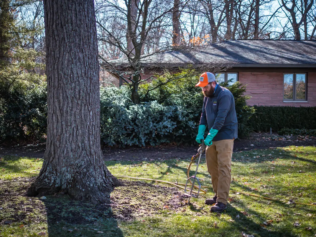 Recommended Spring Aeration Treatments | Ahlum & Arbor Tree Preservation