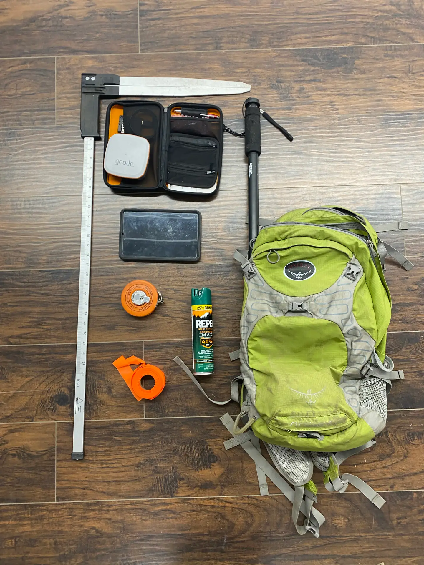 Tree Management Inventories | Ahlum & Arbor Tree Preservation