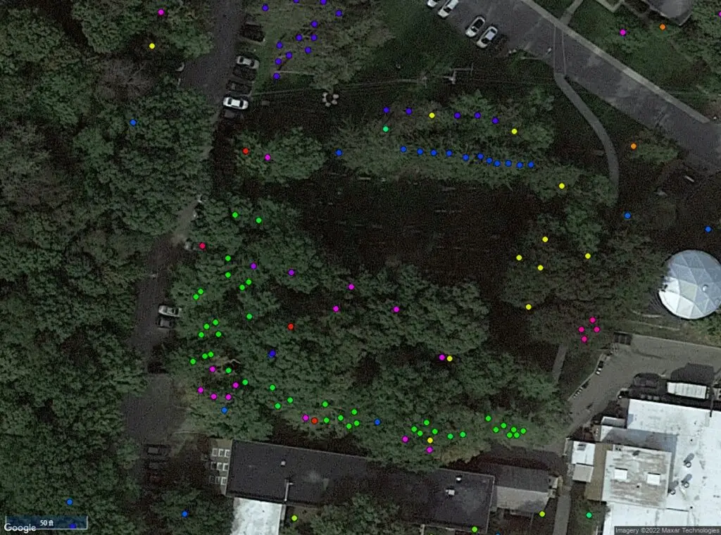 Tree Management Inventories 1 Sample from a tree inventory.