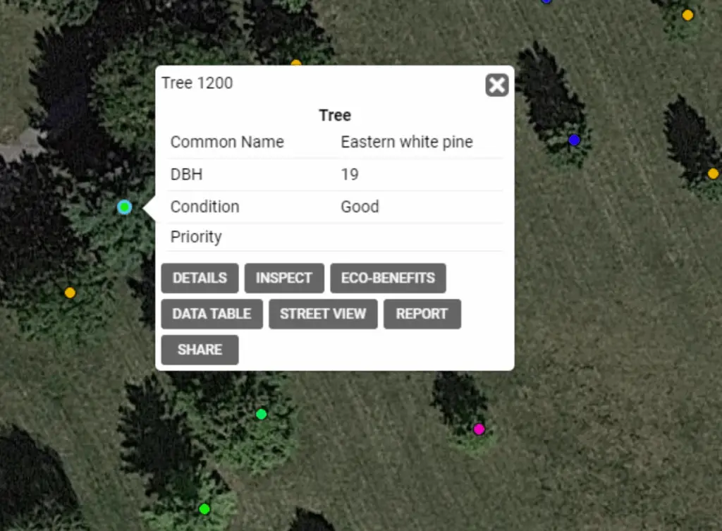 Tree Management Inventories 2 Selected pin on tree inventories.
