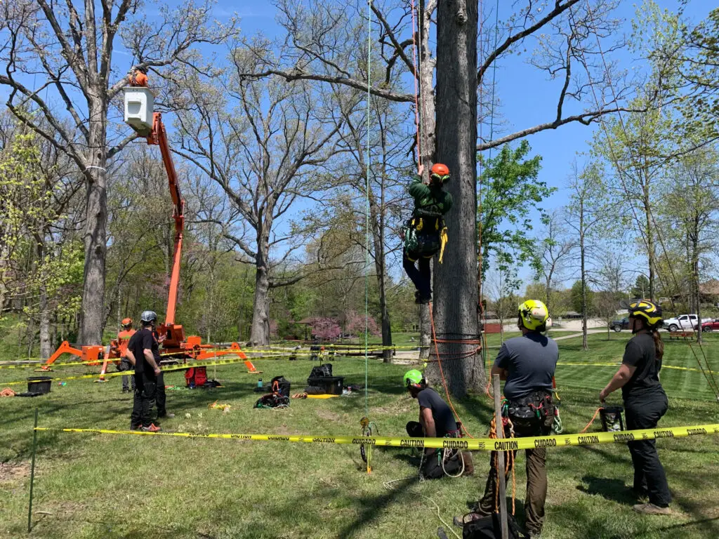 Columbus Ohio Tree Climbing Championship4 | Ahlum & Arbor Tree Preservation
