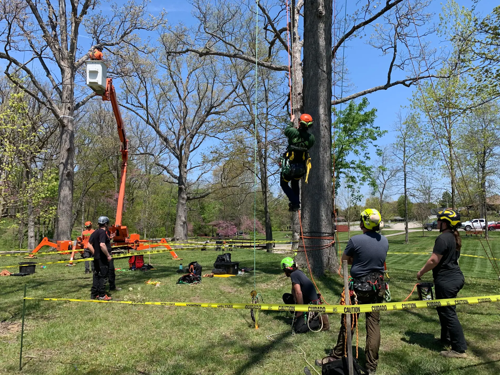 Columbus Ohio Tree Climbing Championship4 | Ahlum & Arbor Tree Preservation