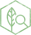 Certified arborists providing expert tree service for Columbus/Central Ohio & Cincinnati/Northern Kentucky | Ahlum & Arbor