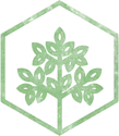 With more than four decades of history, credentials & accreditations, Ahlum & Arbor are Central Ohio & Northern Kentucky's premier arborists & tree care experts