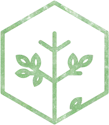 Ahlum & Arbor's certified arborists & tree care specialists provide expert tree services for residential & commercial properties in Columbus, Cincinnati & NKY