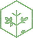 Tree Health Consultation & Evaluation by certified arborists in Columbus/Central Ohio & Cincinnati/Northern Kentucky | Icon 1 | Ahlum & Arbor Tree Preservation