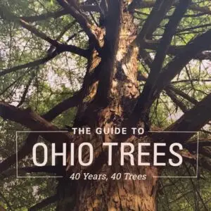 The Guide To Ohio Trees: 40 Years, 40 Trees | Ahlum & Arbor Tree Preservation