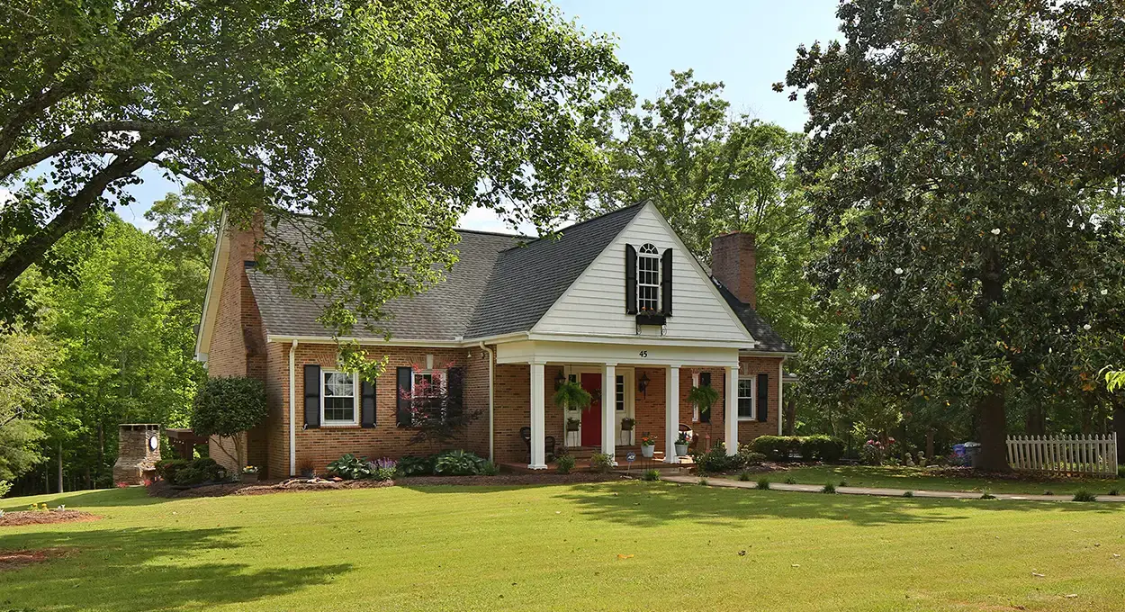 How Trees Affect Property Value: Tree Maintenance Tips for Better Home Appraisals | Ahlum & Arbor Tree Preservation