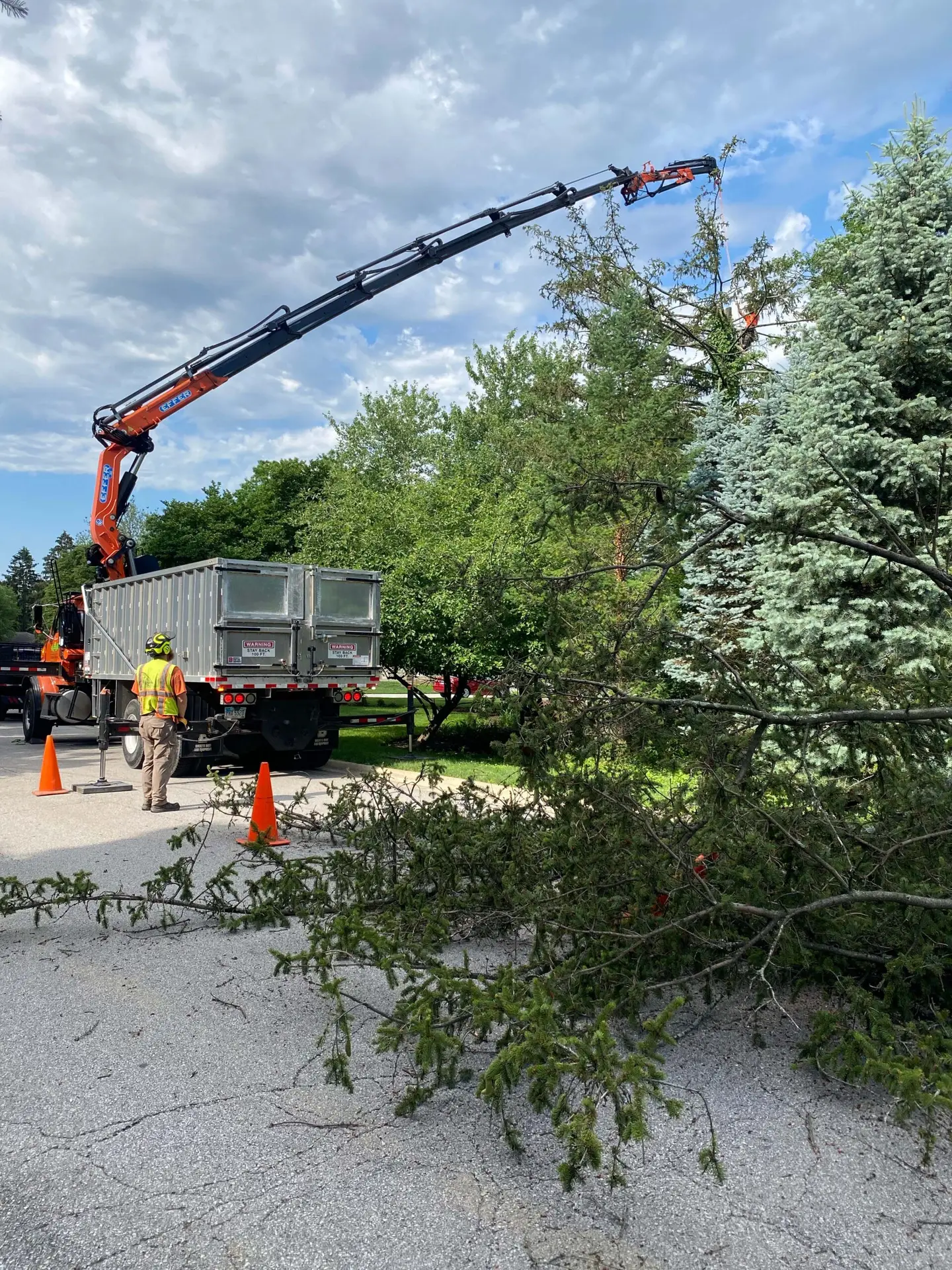 Preparing Trees for Storms in Ohio